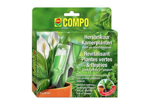 COMPO Voedingskuur Groene & Bloeiende Kamerplanten - voedt en herstelt verzwakte planten - gebruiksklare dosissen - doosje 5 x 30 ml